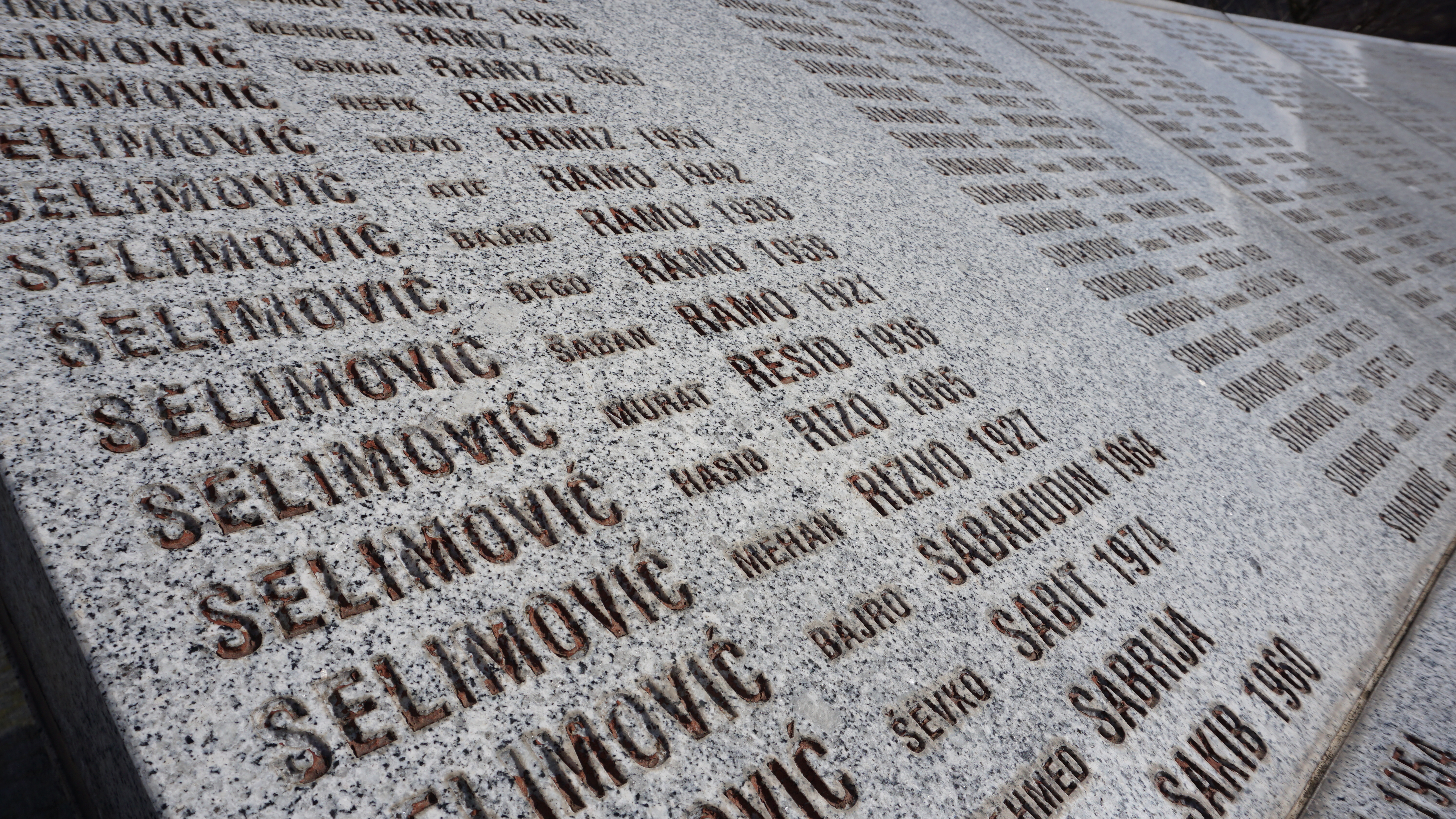 Panel diskusija „Značaj rezolucije Generalne skupštine UN o genocidu u Srebrenici”