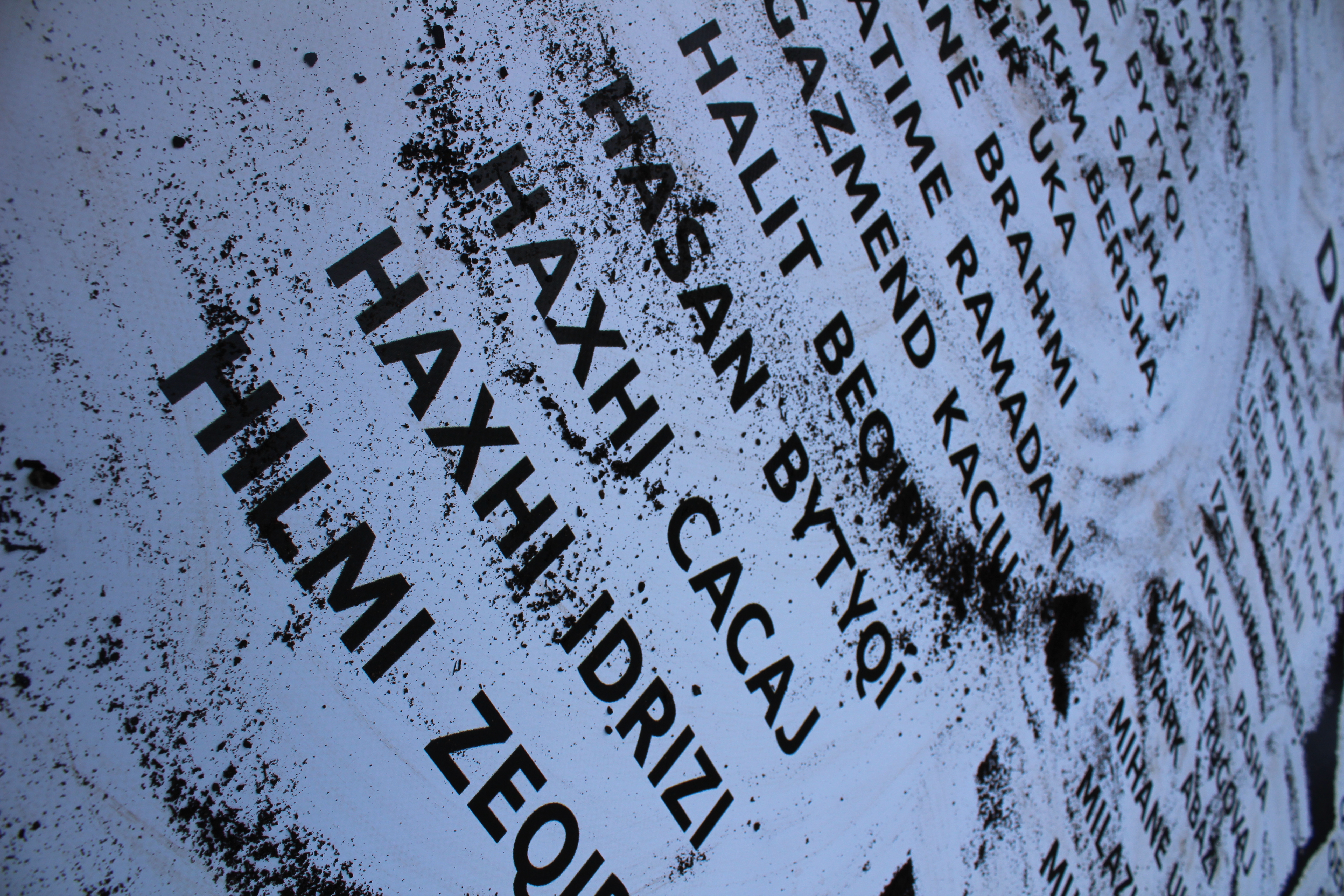 Inicijativa na sastanku sa Komitetom za prisilne nestanke Ujedinjenih nacija